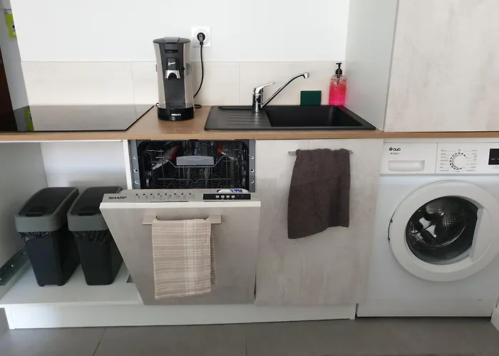 Riviera Face A La Gare エクスレバン